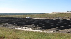 Compost Rows